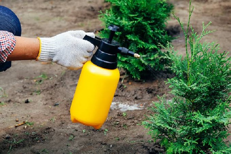 Tree Pest Control